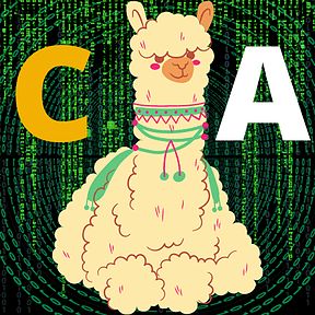 developer avatar