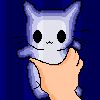 developer avatar