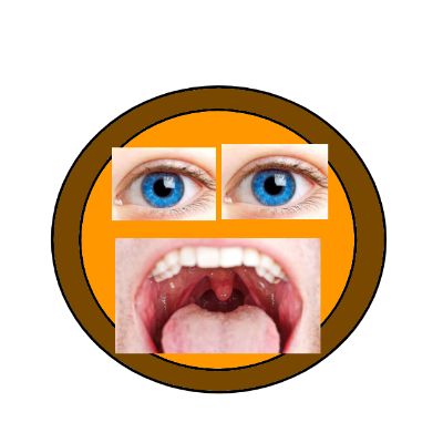 developer avatar