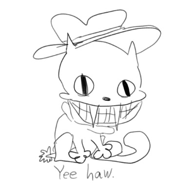 developer avatar