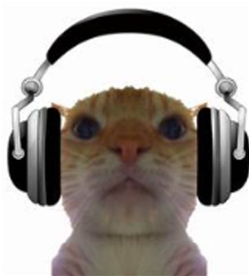 developer avatar