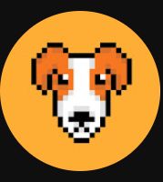 developer avatar