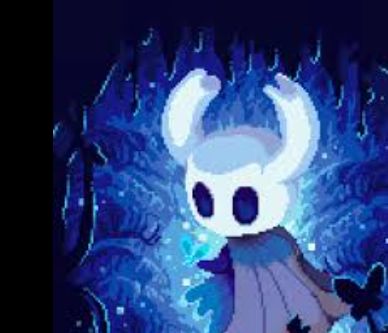 developer avatar