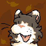 developer avatar